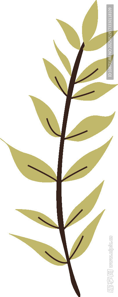 单枝绿叶植物插画
