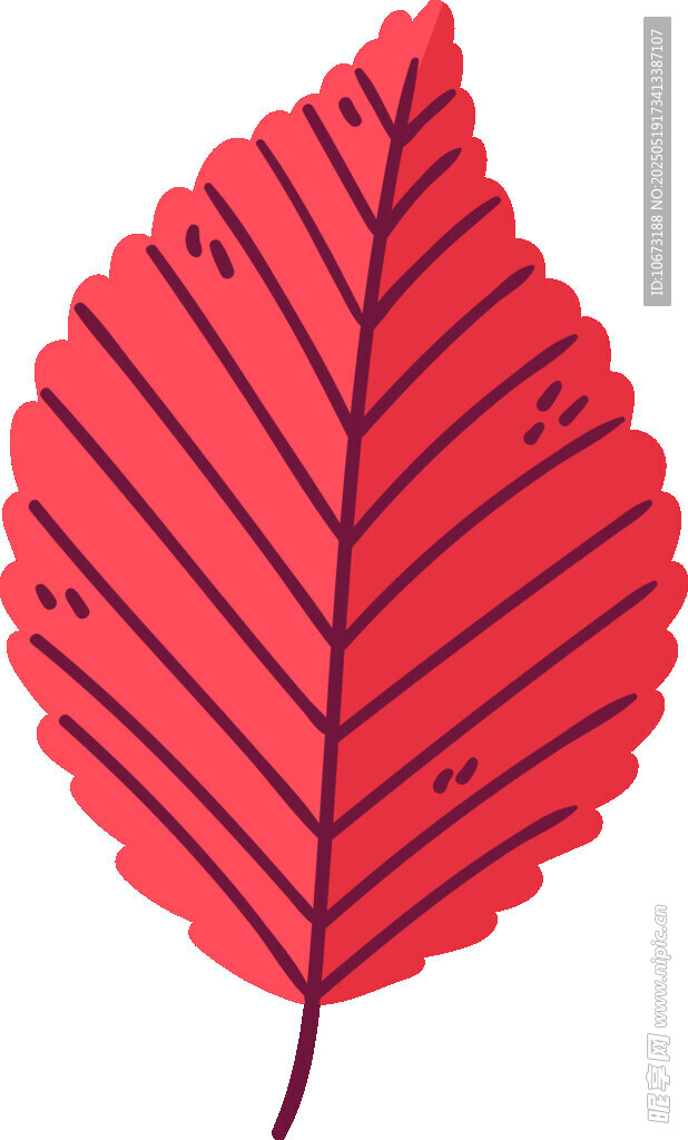 红色叶脉叶片插画