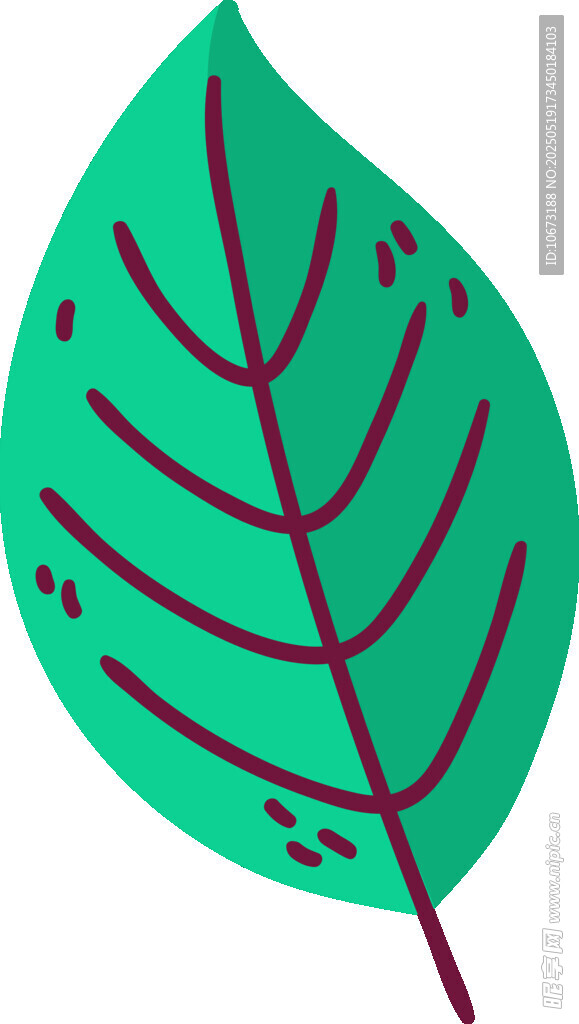 绿色叶片插画
