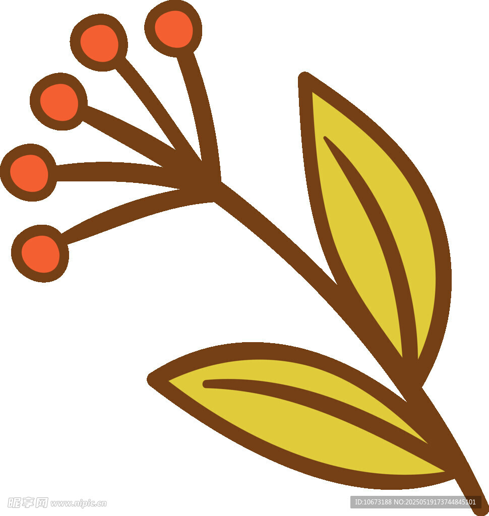 手绘植物枝叶插画