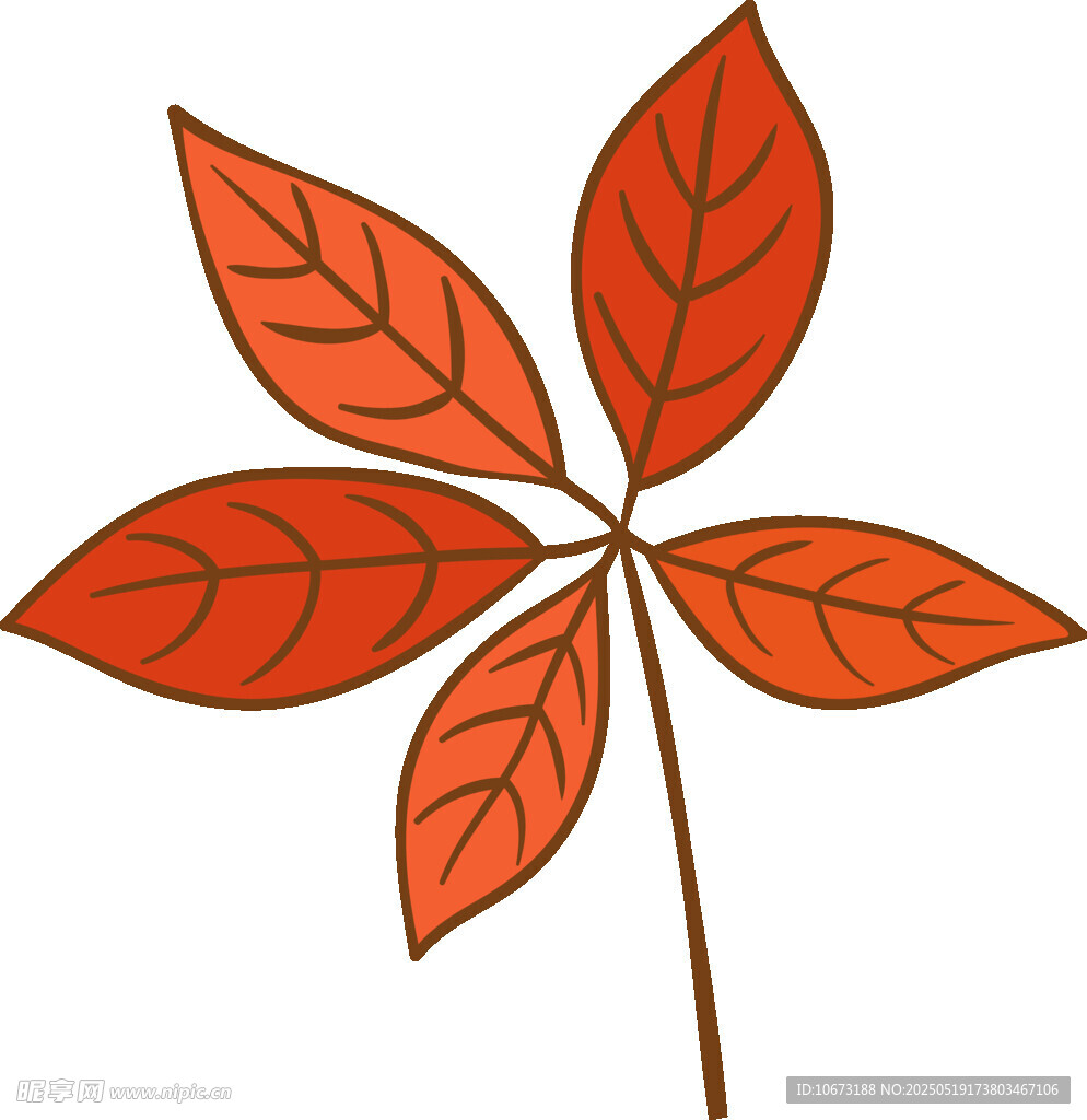 红色五叶植物插画