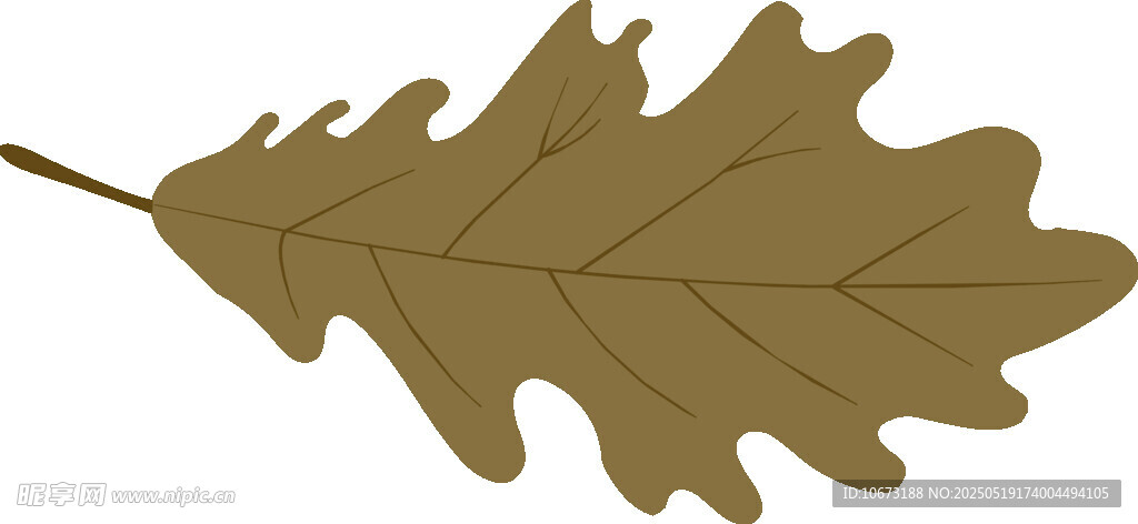 棕色橡树叶插画