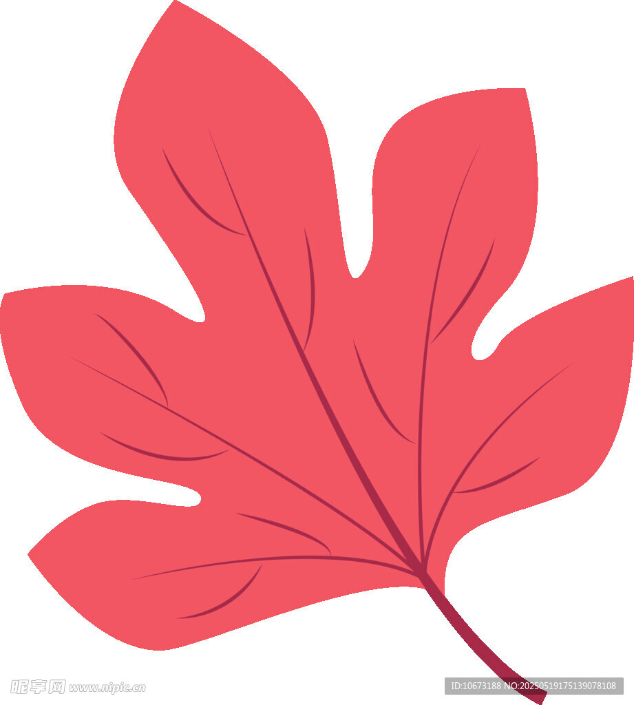 红色枫叶插画