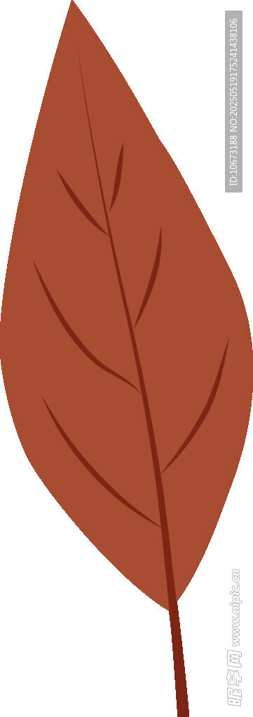 红色单叶插画