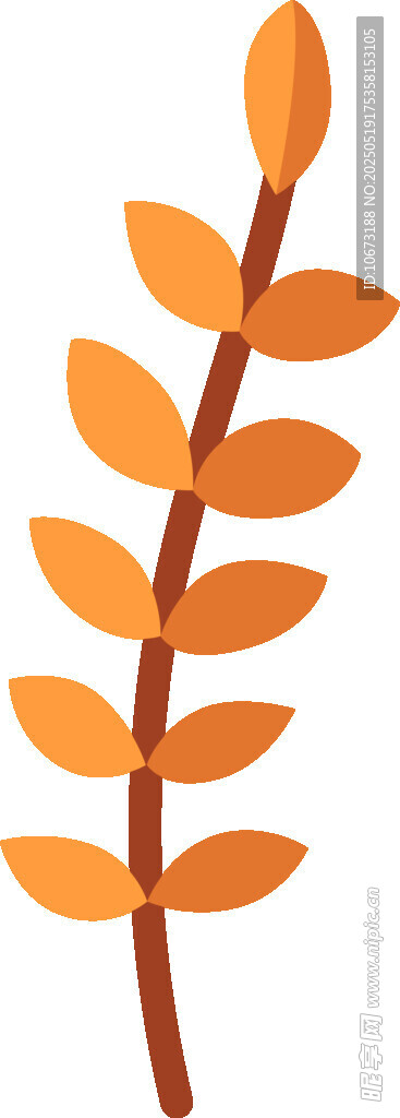 橙色枝叶插画
