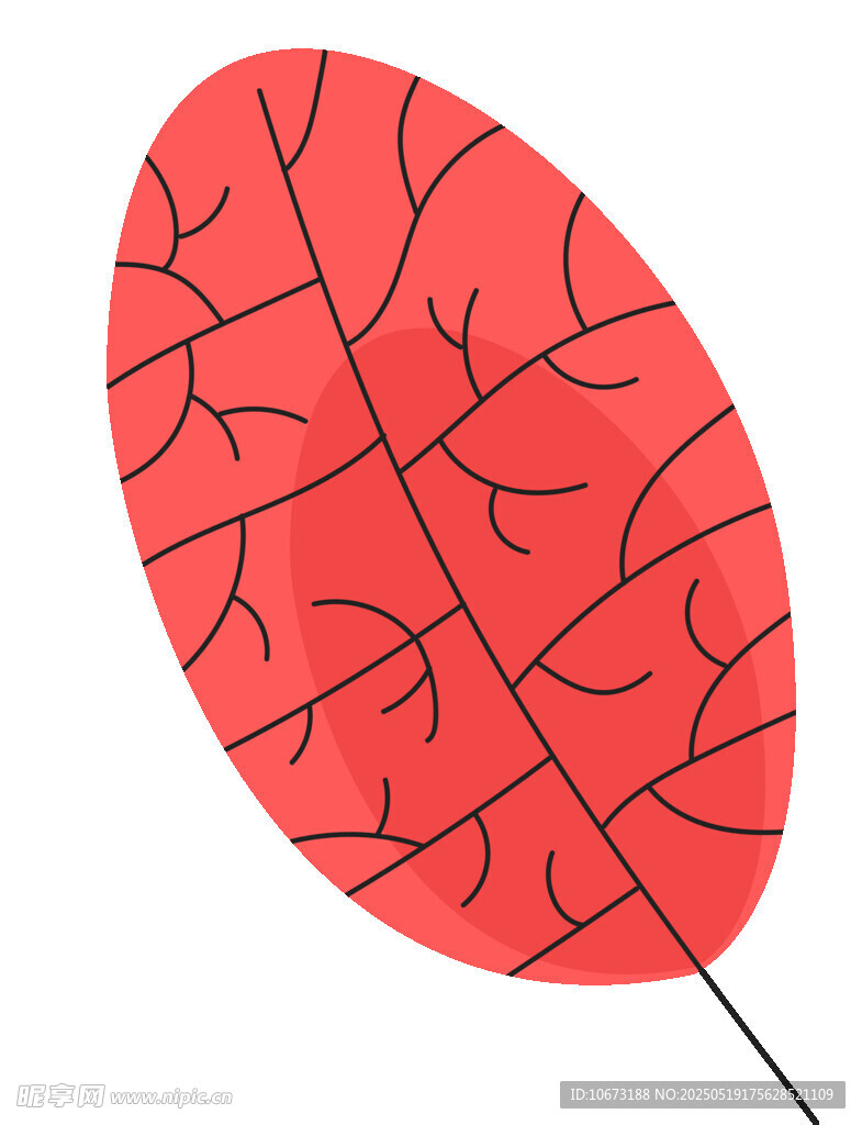 红色叶脉独特叶片插画