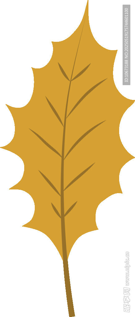 金黄橡树叶