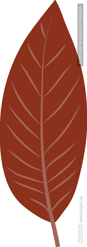 棕红色单叶插画