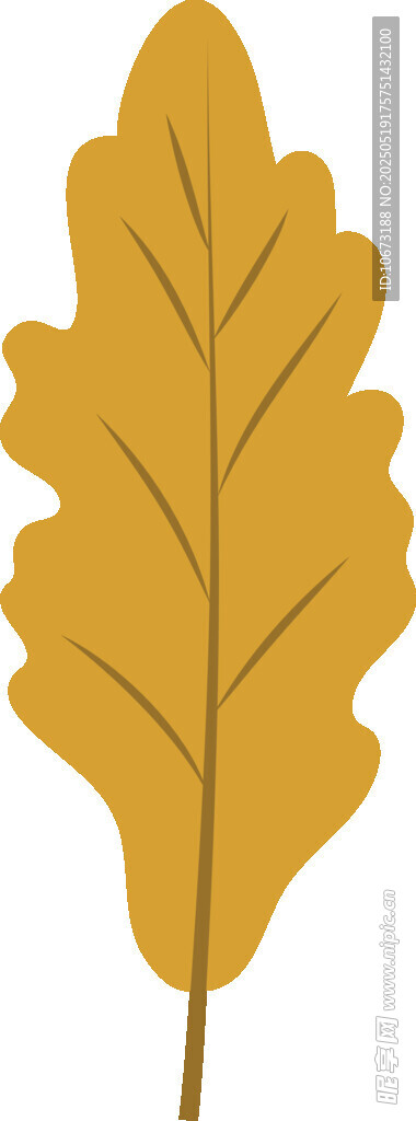 金黄橡树叶