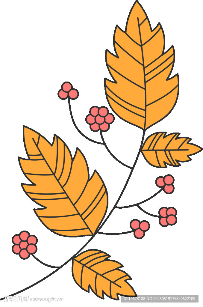 秋季枝叶插画