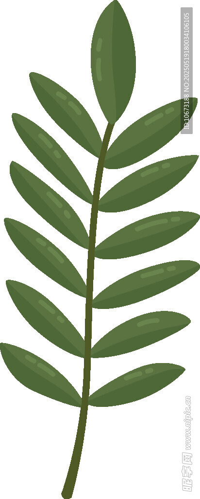 绿色羽状叶片植物元素