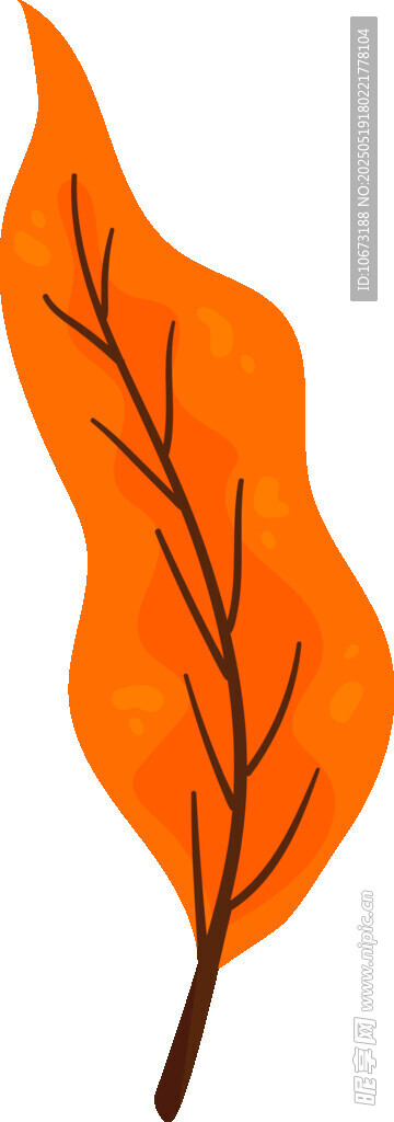 橙色枫叶插画