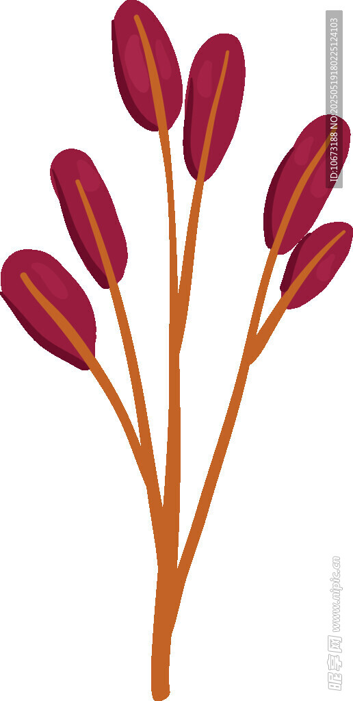 红色穗状植物插画元素