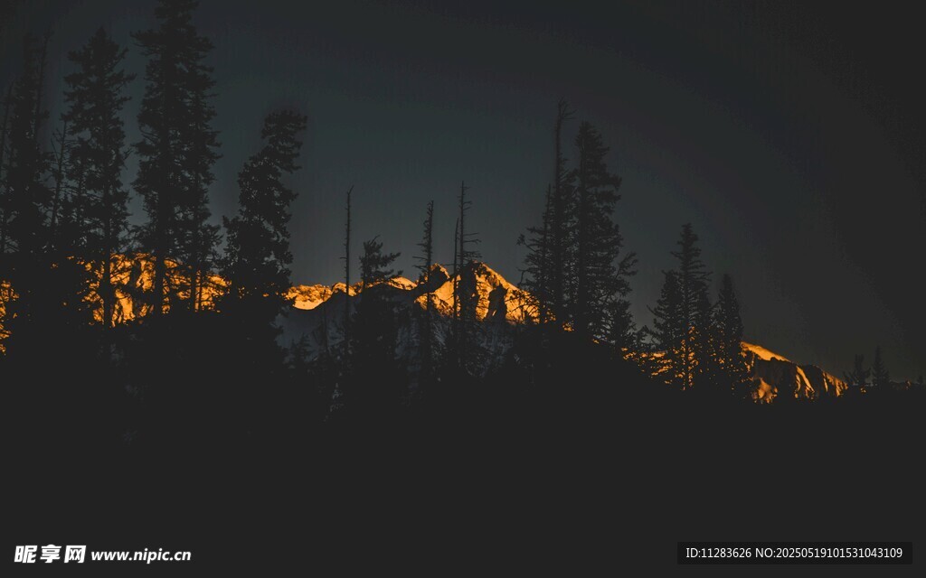 夜幕下山林中的暖光景象