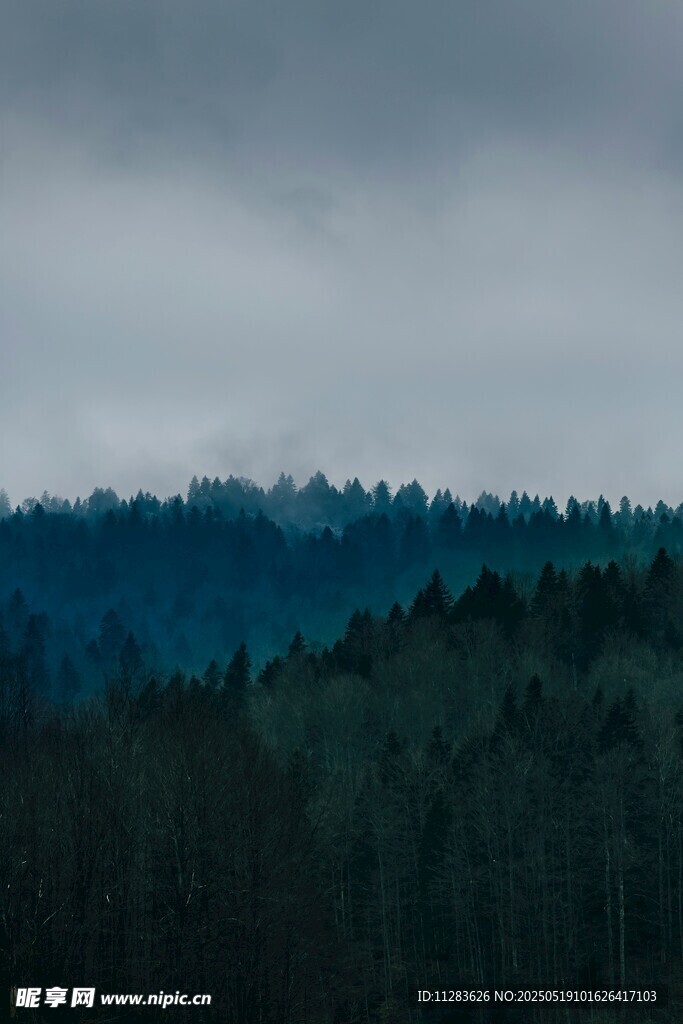 云雾缭绕的山林景观