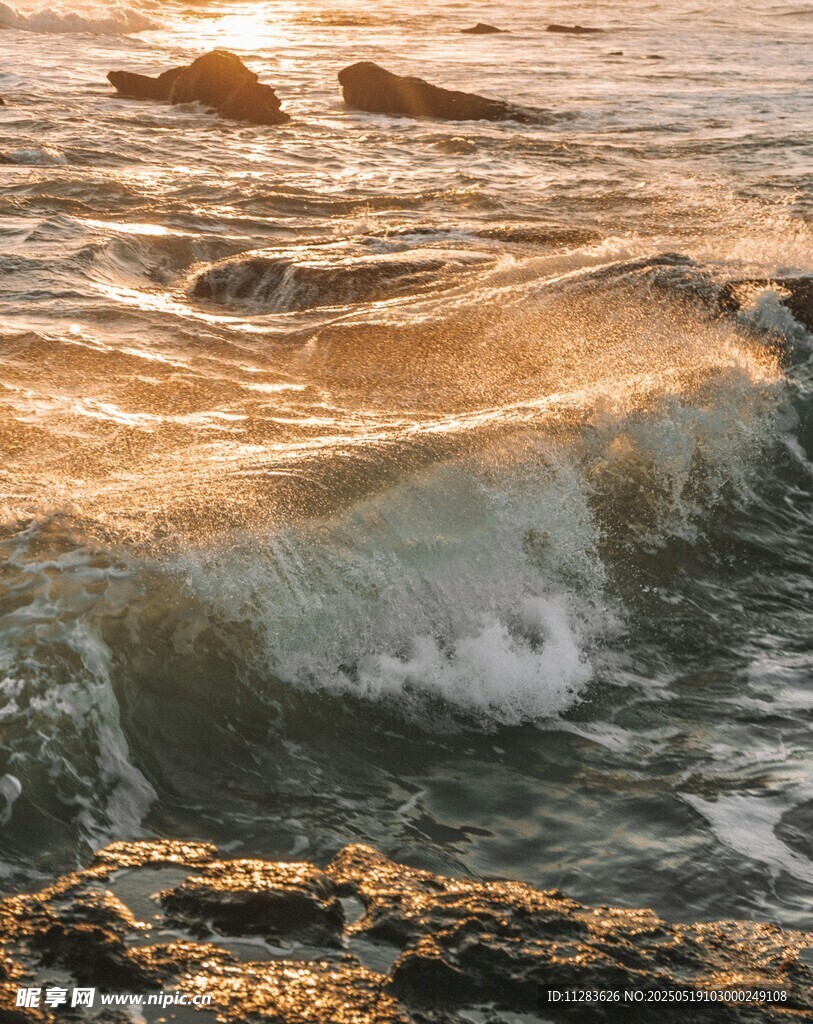 夕阳下翻涌的金色海浪