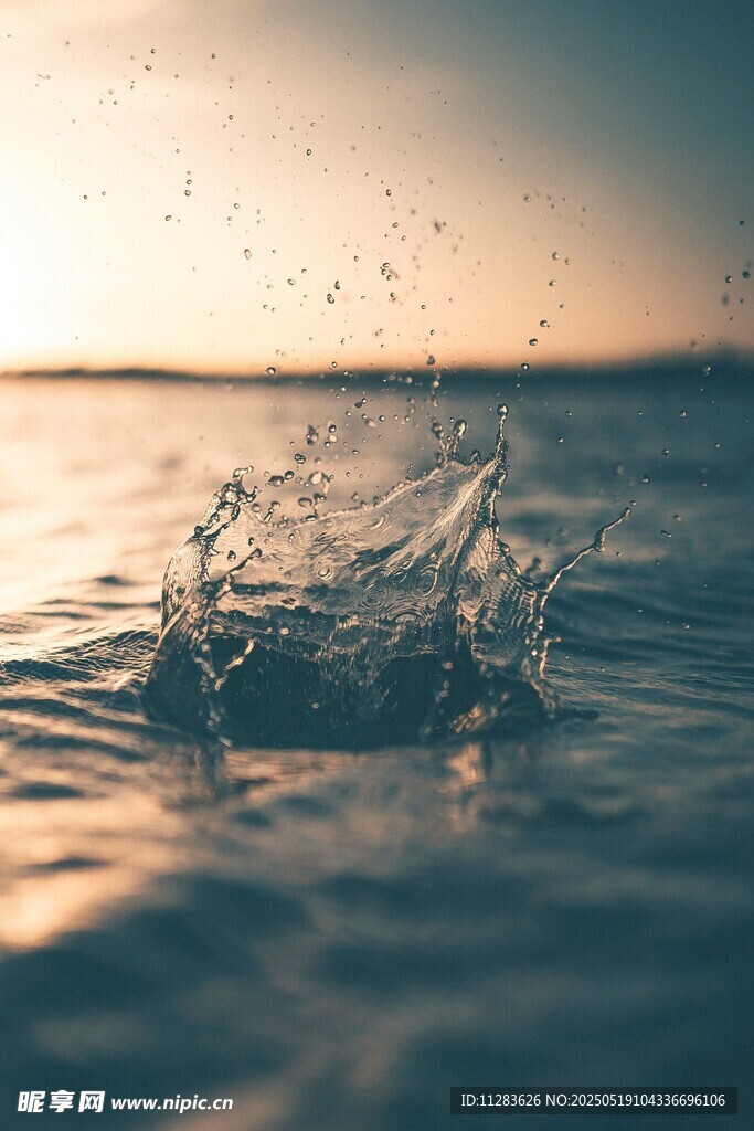 夕阳下的水花飞溅瞬间