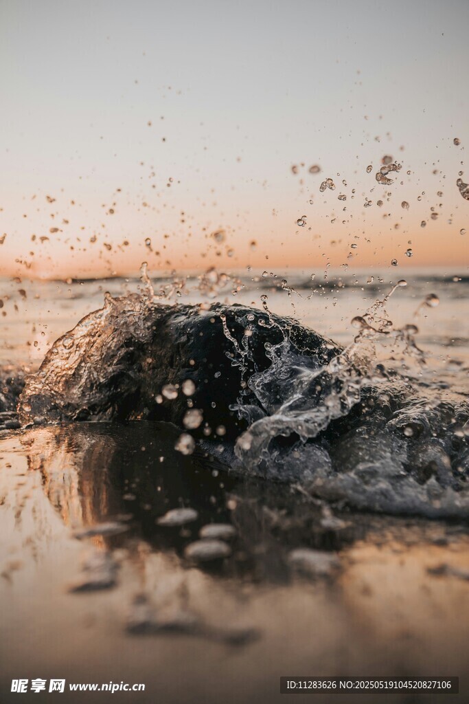 海浪翻涌飞鸟伴夕阳
