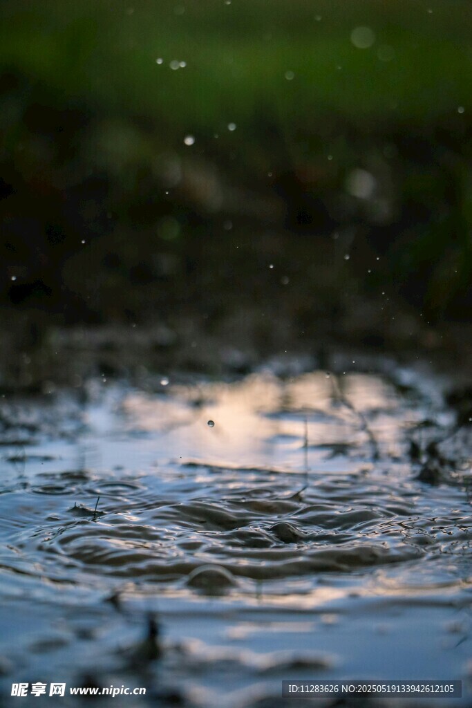 雨滴落入水面的美丽瞬间