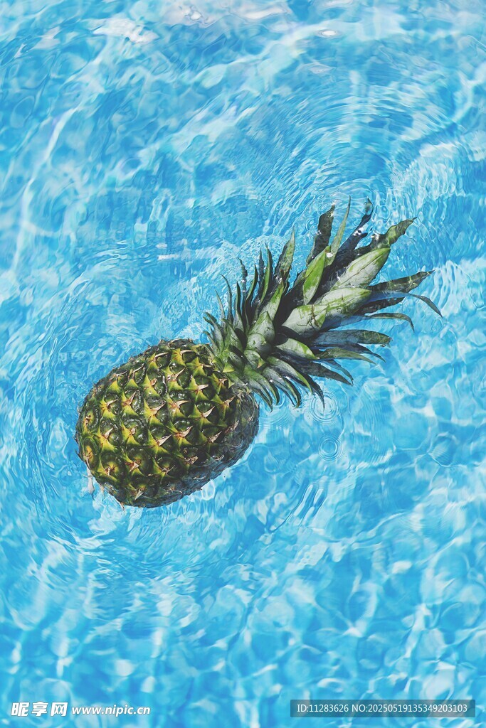 泳池中的漂浮菠萝
