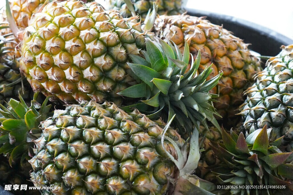 新鲜菠萝堆叠