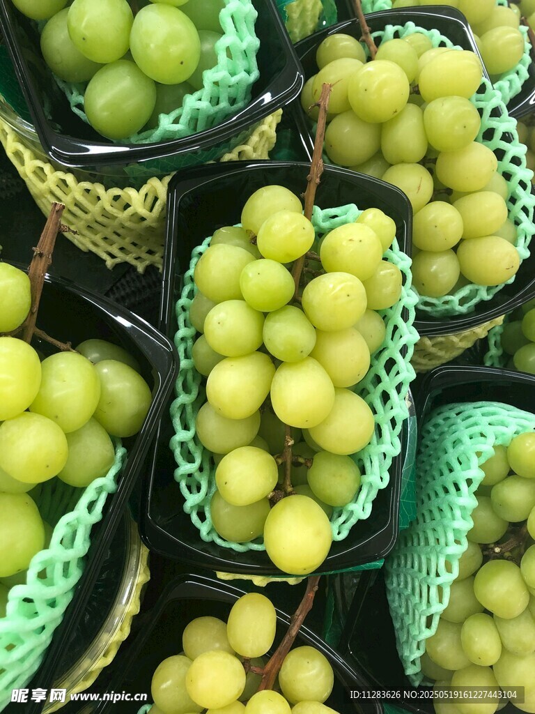 新鲜绿葡萄装于网兜中