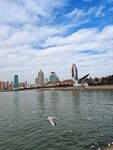 海滨城市天际线与飞翔海鸥