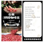云南烘焙咖啡豆手工筛选