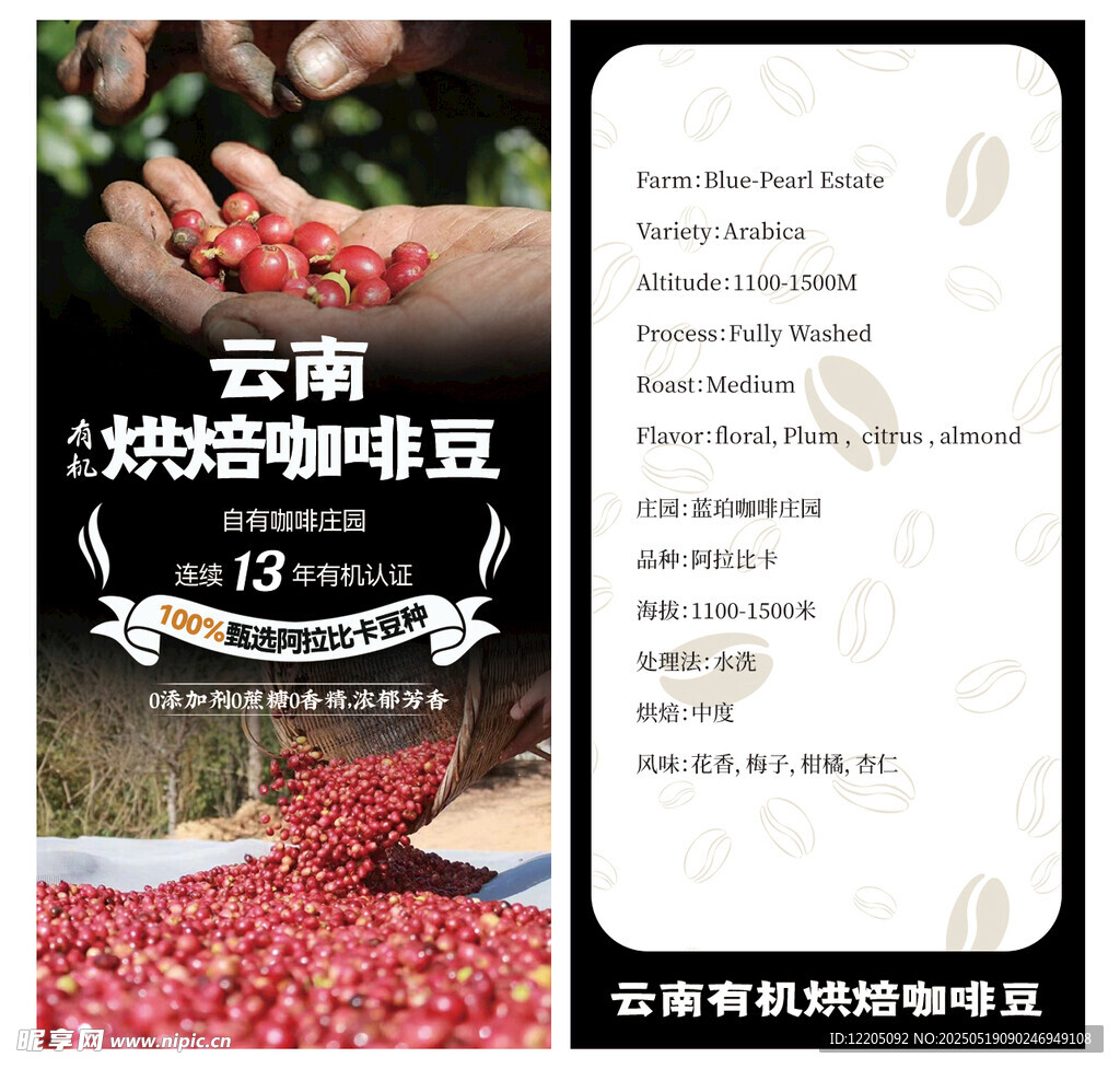 云南烘焙咖啡豆手工筛选