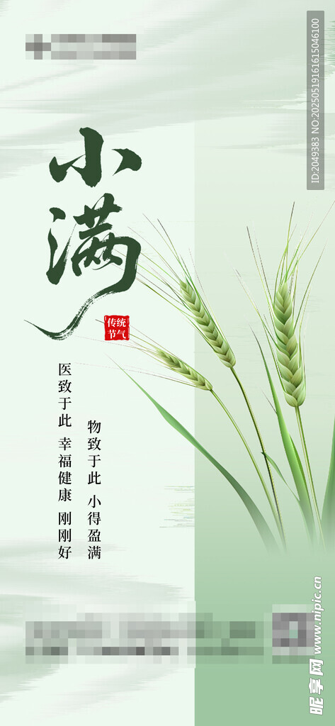 小满节气海报
