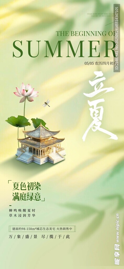 夏日清新插画花卉小景