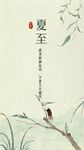 夏至时节枝头小鸟图