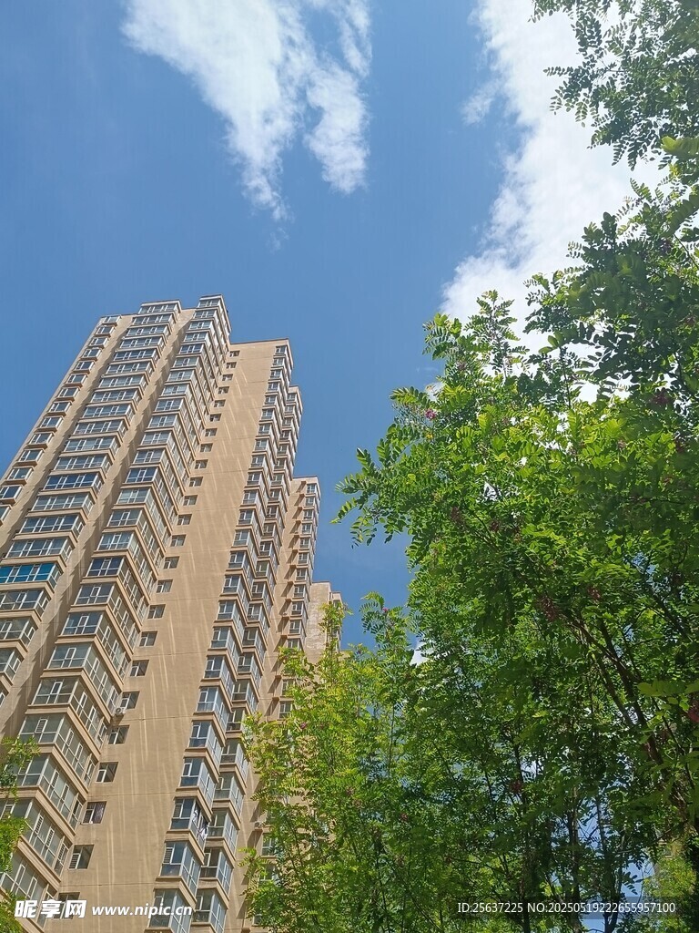 高楼旁绿树映衬蓝天