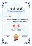 荣誉证书 冠军