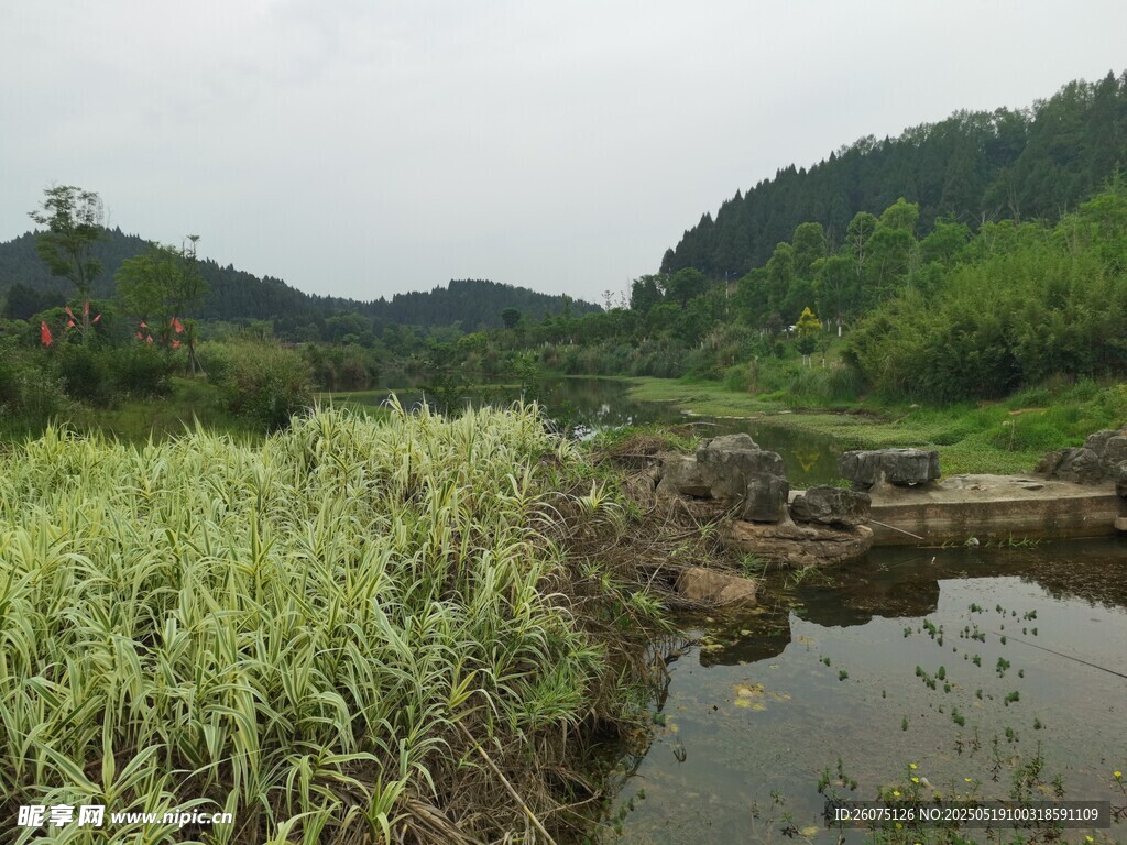 山间溪流