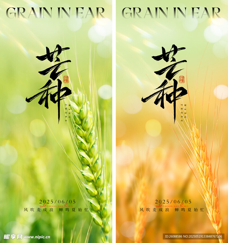 芒种节气海报