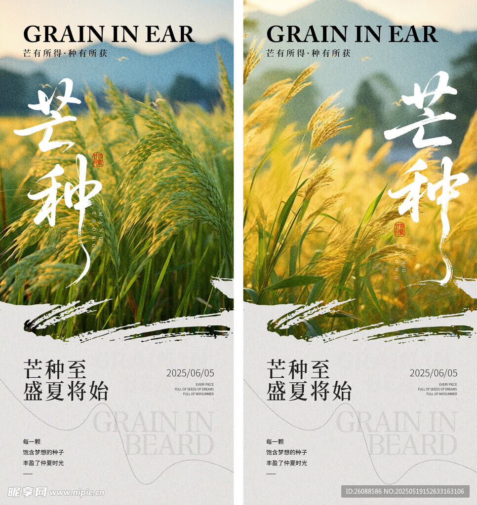 芒种时节节气海报