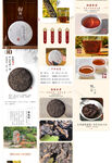 茶叶详情