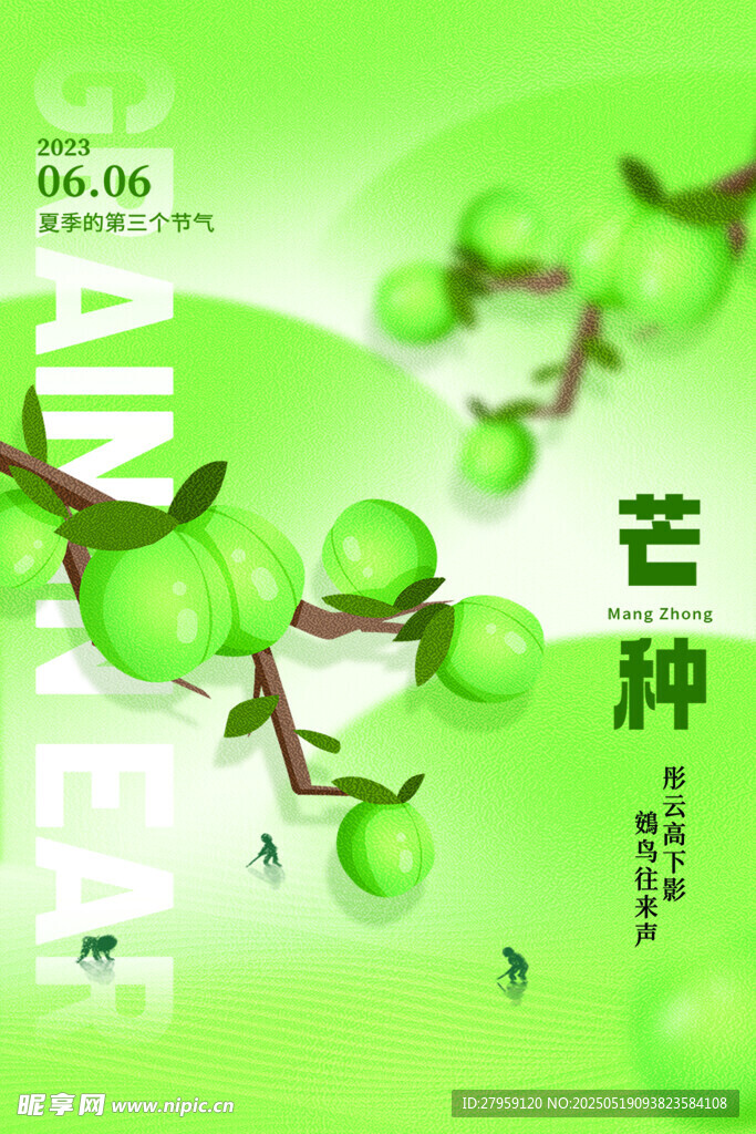 夏季的第3个节日