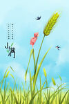 小满节气海报