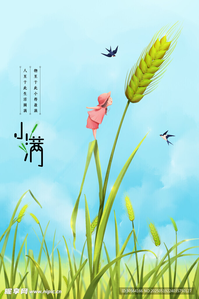 小满节气海报