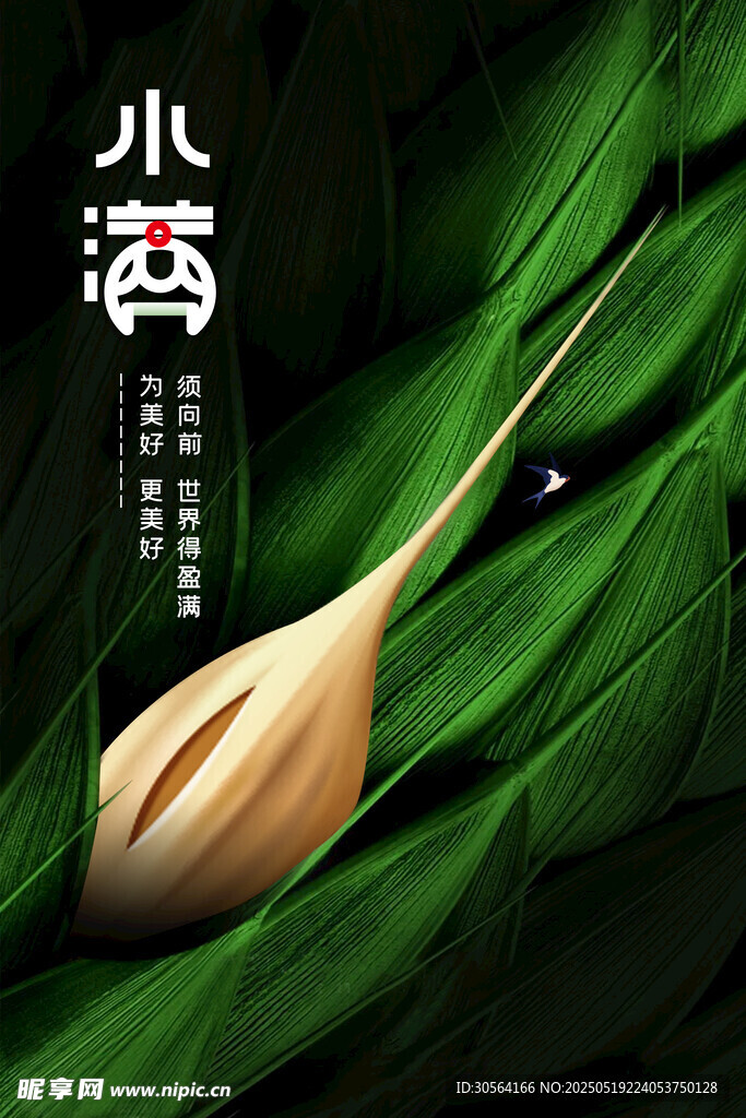 小满节气海报