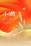 小满节气海报
