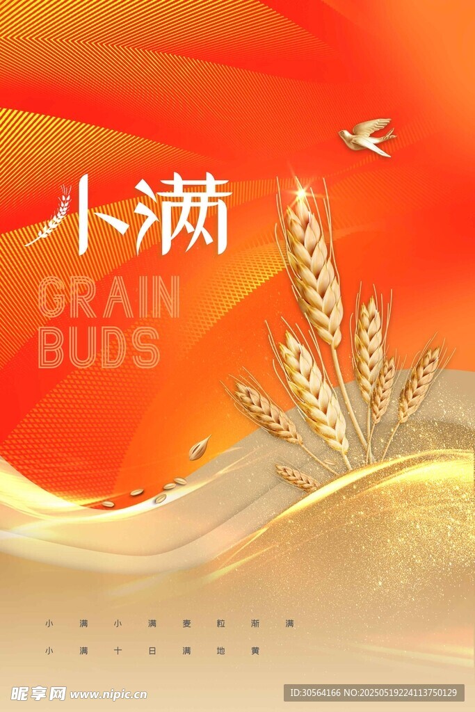 小满节气海报