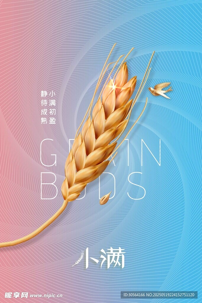 小满节气海报