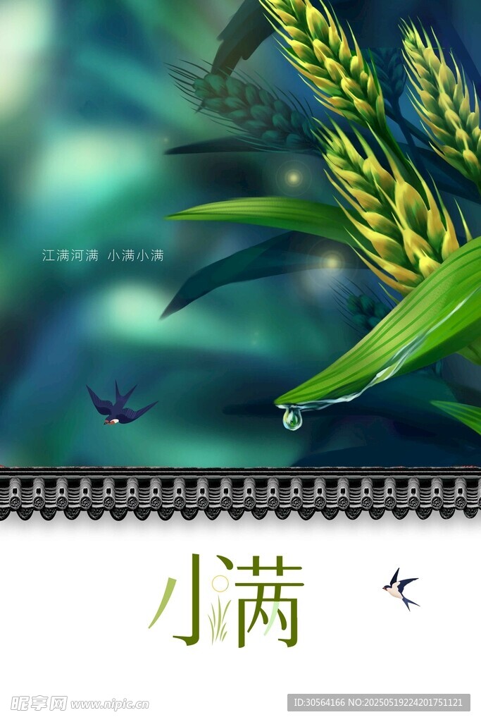 小满节气海报