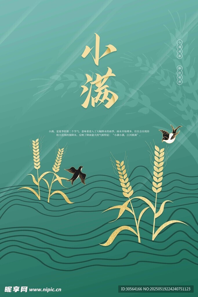 小满节气海报