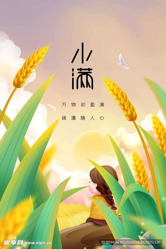 小满节气海报