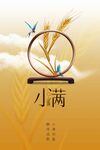 小满节气海报