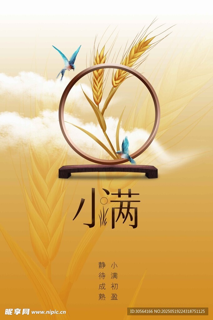 小满节气海报